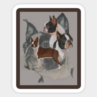 Boston Terrier Medley Sticker